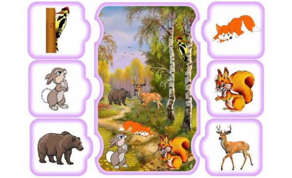 Бурый медведь Финляндия