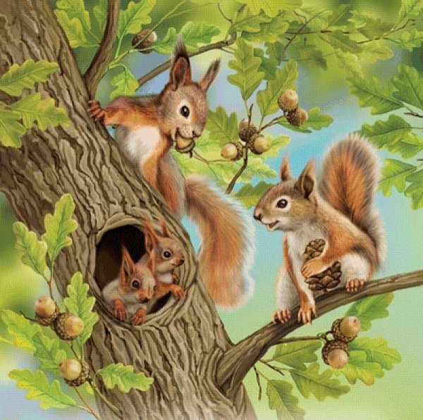 Дикие животные весной