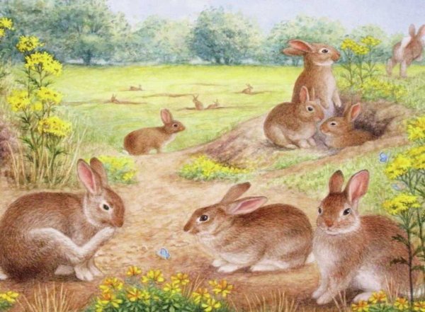 Дикие и домашние животные задания для дошкольников