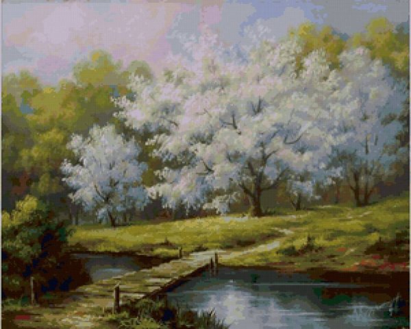 Черёмуха душистая ручей