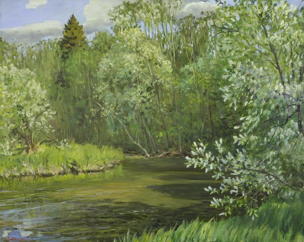 Черёмуха душистая цветет