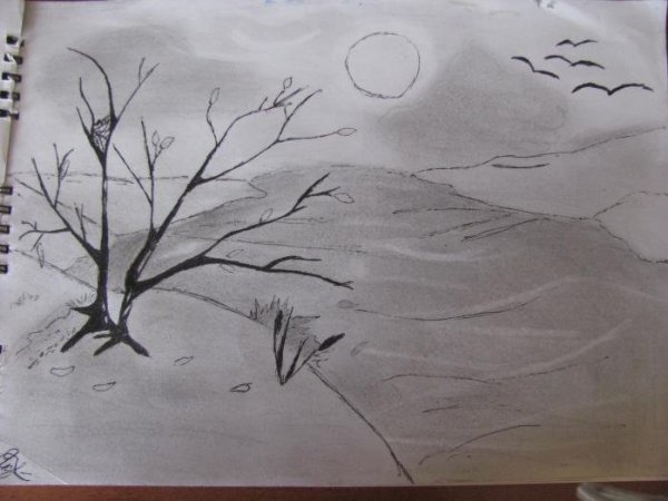 Рисунок красота весны