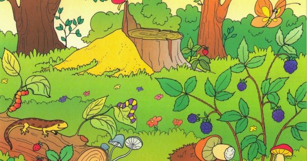 Сказочный лес для детей