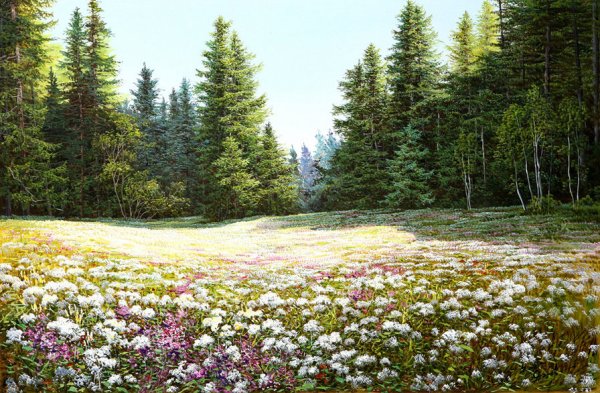 Хаяо Миядзаки деревья