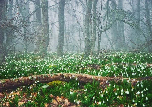 Полянка для детей