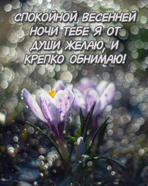 Бокешек