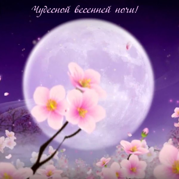 Чудесной весенней ночи