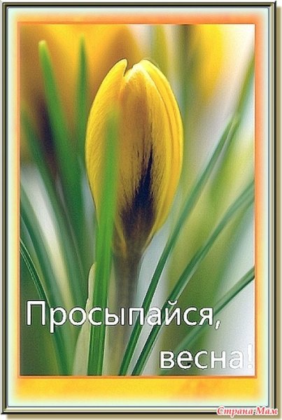 С последним днем зимы