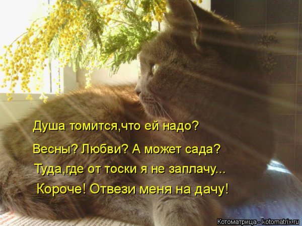 Доброе утро последний день весны смешные