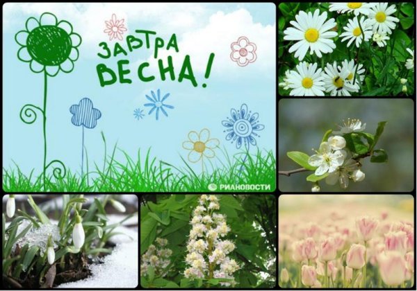 Открытка Весна Проснись