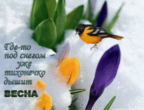 Скоро Весна