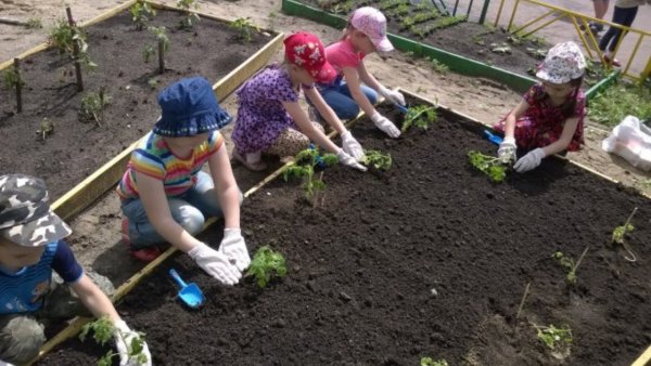 Весенние хлопоты в саду