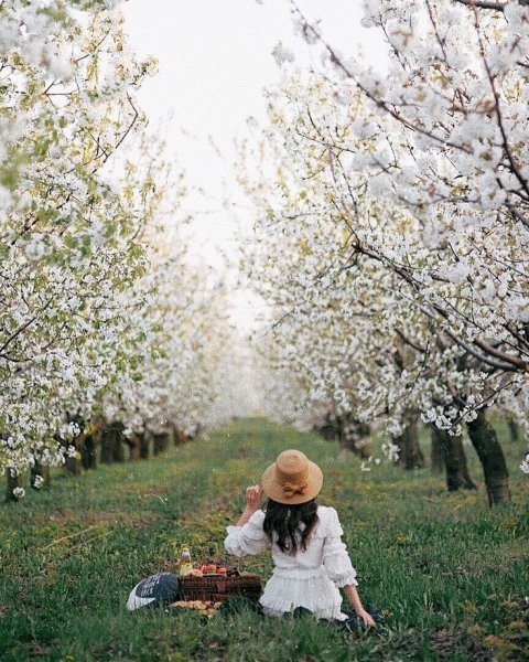 Весна цветущие сады