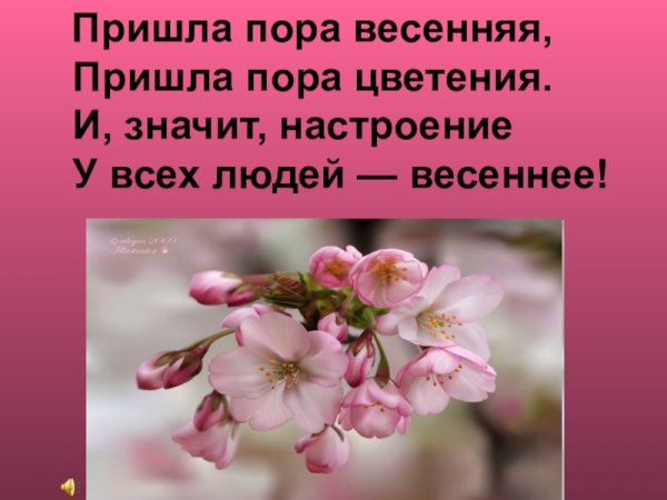 Девушка в цветущих яблонях