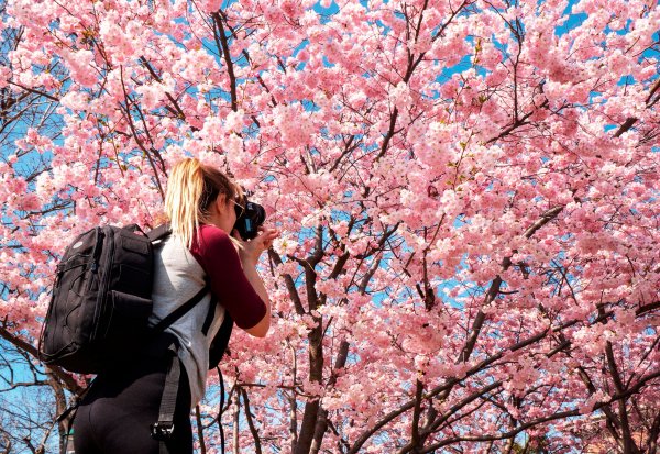 Природа веса