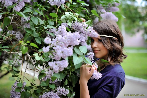 Девушка цветущее дерево