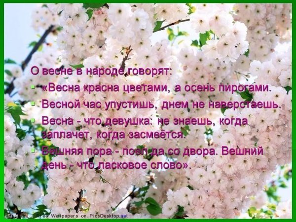 Весна в цветущем саду