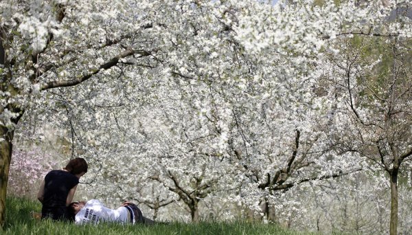 Высказывания о весне