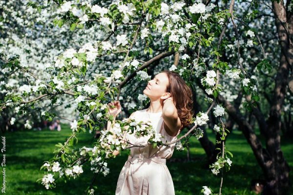 Лицо в сирени