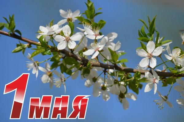 Весна Первомай