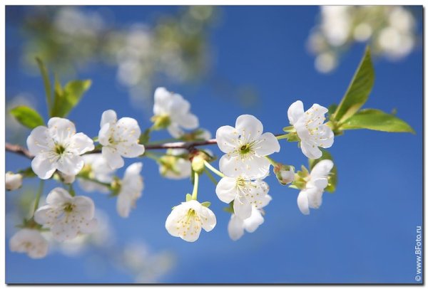 1 Мая праздник весны и труда