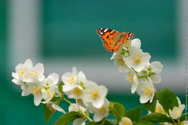 С последним днем весны