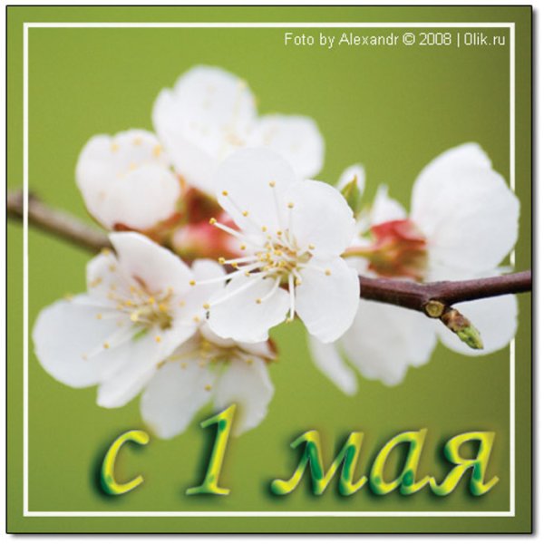 1 Мая праздник