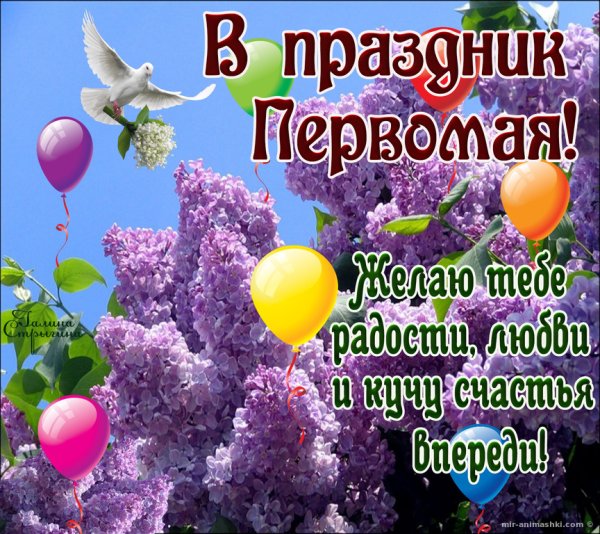 Добрый день Весна