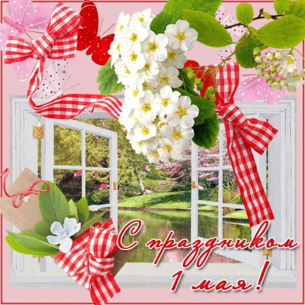 Цветущая черемуха