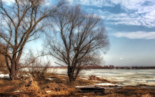 Природа весной