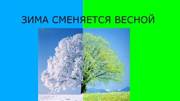 Зима сменяется весной