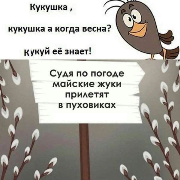 Приколы про весну