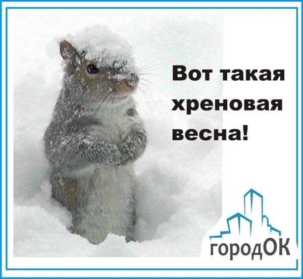 Мемы про весну