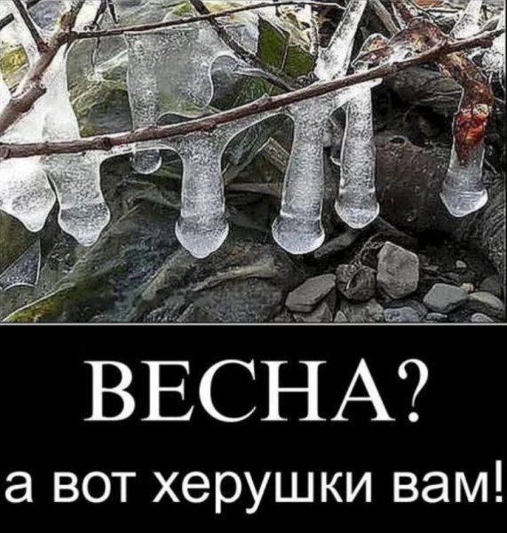 Смешные высказывания про март