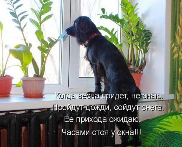 Еще немного и Весна