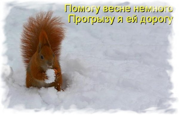 Высказывания про снег весной