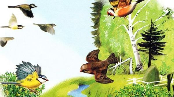 Звери готовятся к зиме