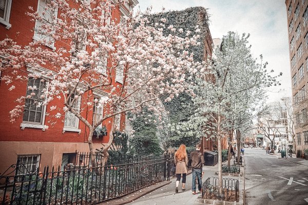 Улица весной