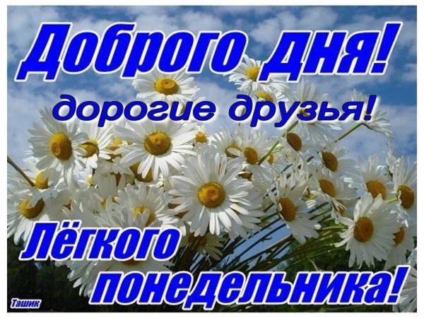 Доброго дня понедельника