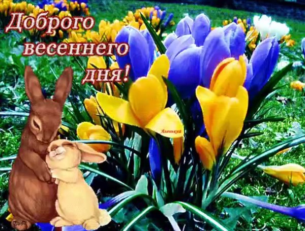 Доброготвесеннего дня!