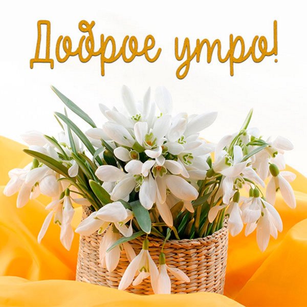 Открытки весенние с пожеланиями