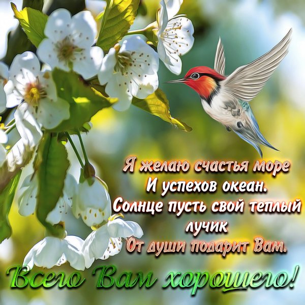 Весеннее настроение