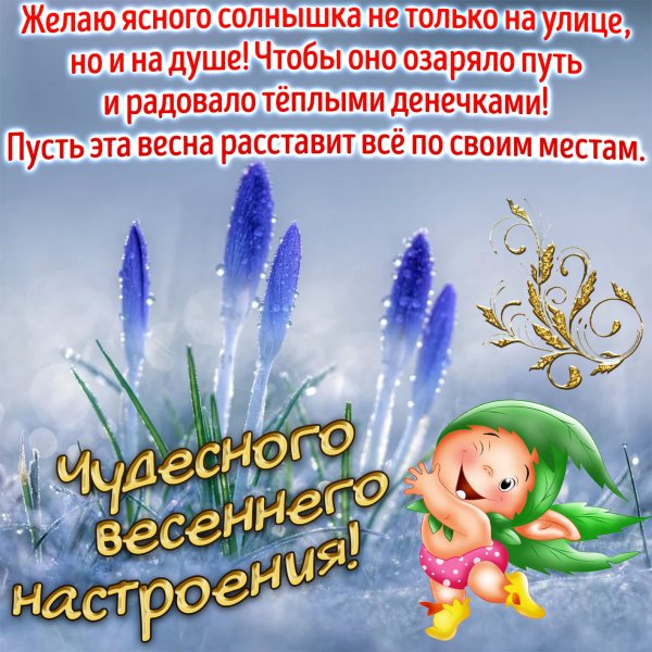 Чудесного дня