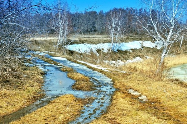 Последний снег