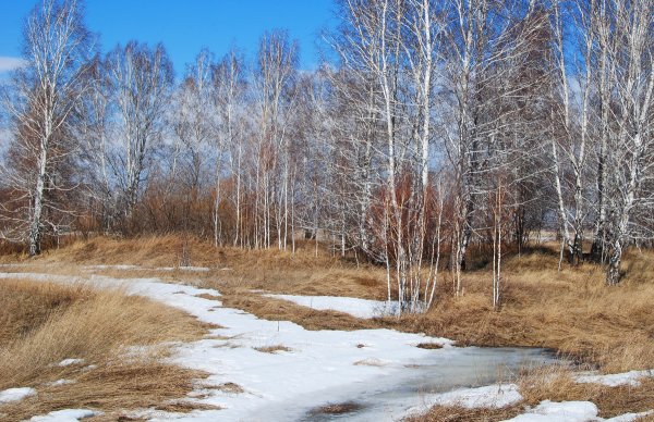 Последний снег весной