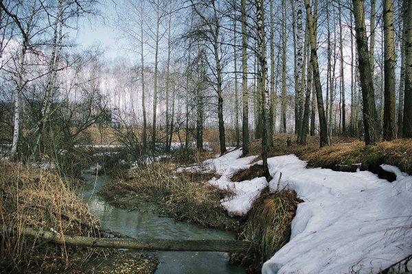 Поле ранней весной
