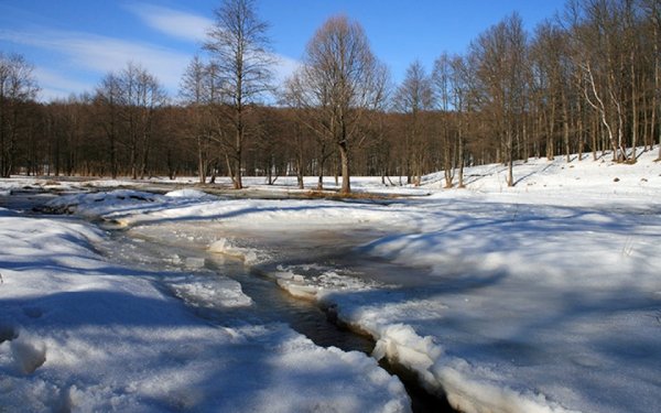 Весна последний снег