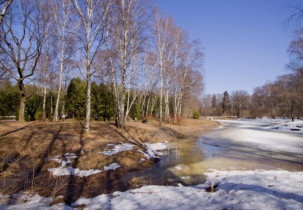 Подснежники в Уфе