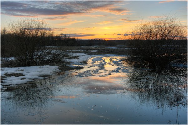 Весенний лес в Сибири
