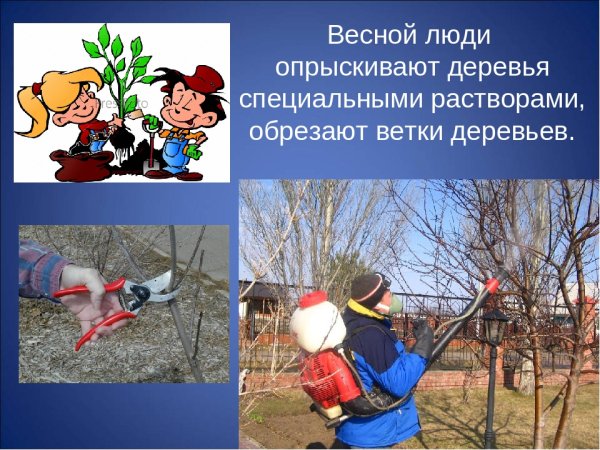 Труд людей весной